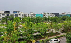 Nội khu khu P Ciputra